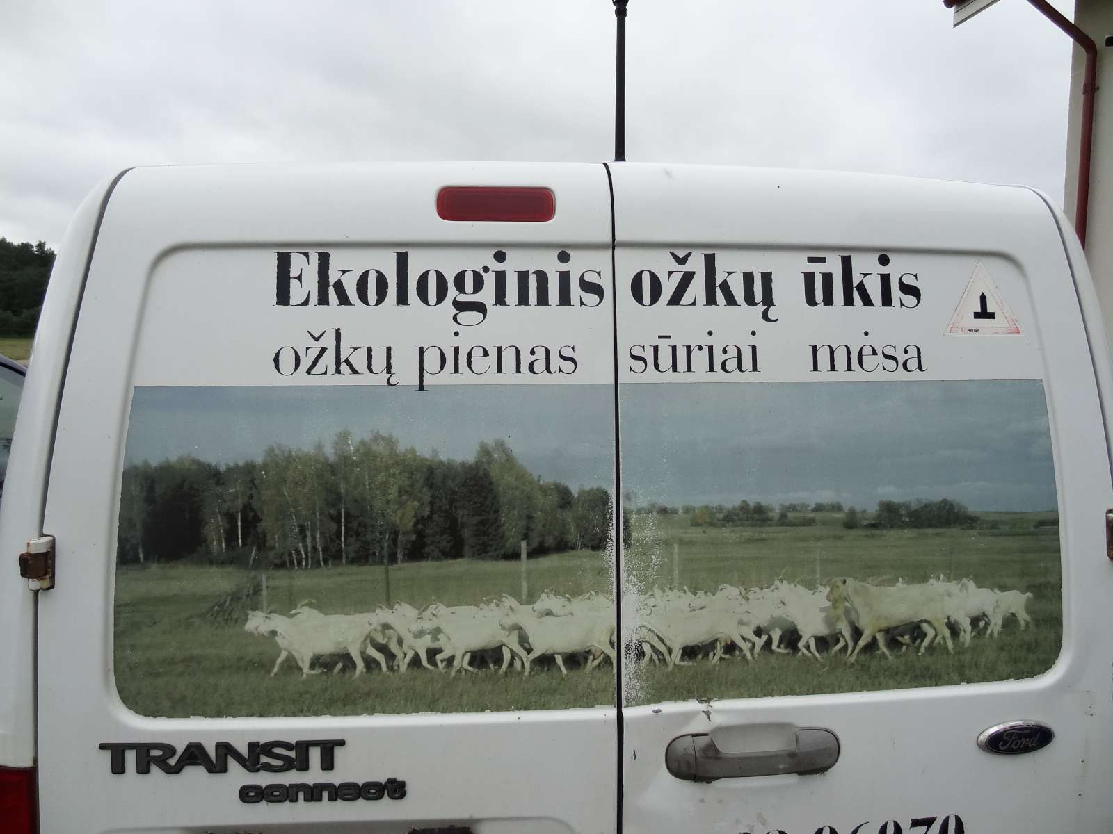 Ozkuukis (11)