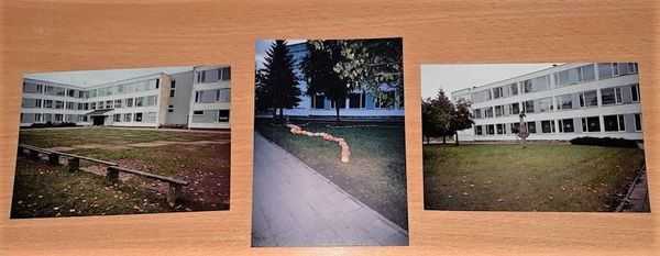3 ia vid pradzia